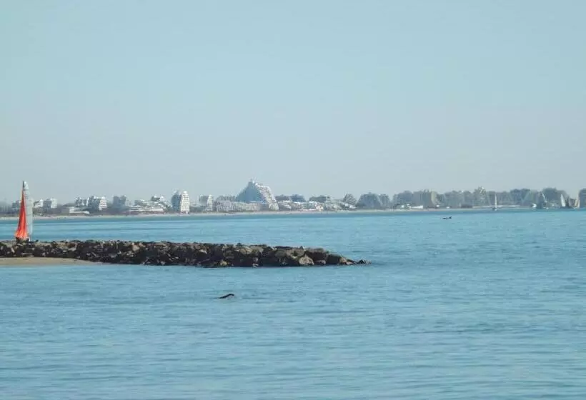 Hotelli Hôtel Le Carnon