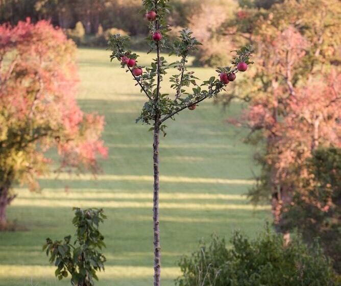 ホテル Le Morimont