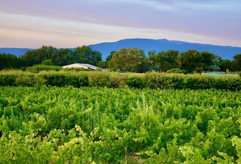 مبيت وإفطار Bastide Saint Didier