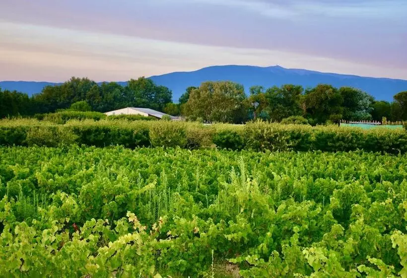 Aamiaismajoitus (B&B) Bastide Saint Didier
