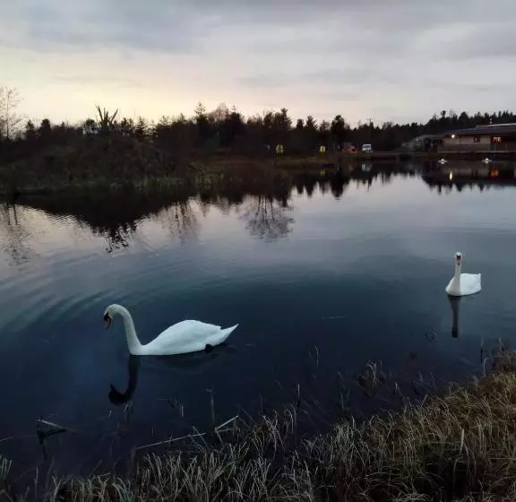 ベッドアンドブレックファースト Inny River Lodge