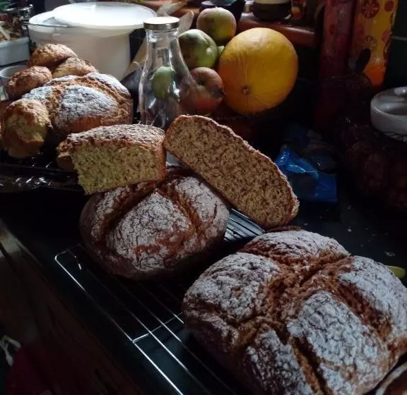 ベッドアンドブレックファースト Inny River Lodge