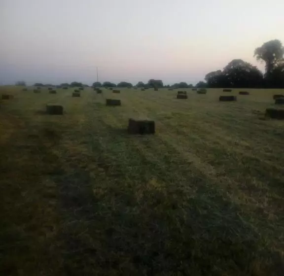 ベッドアンドブレックファースト Inny River Lodge