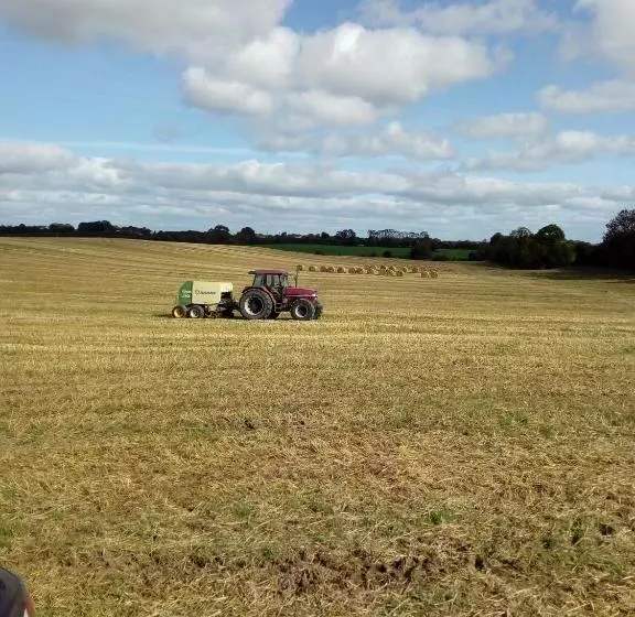 ベッドアンドブレックファースト Inny River Lodge