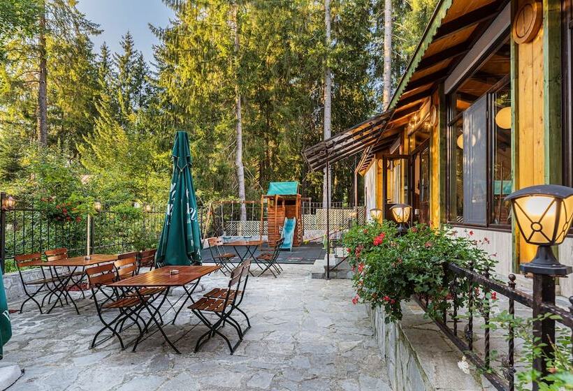 هتل Pensiunea Hilltop