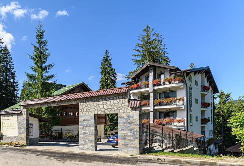 هتل Pensiunea Hilltop