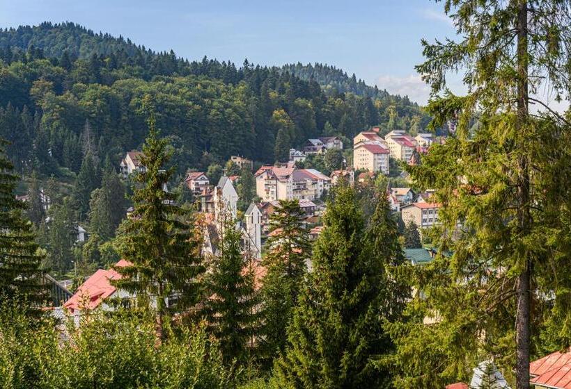 هتل Pensiunea Hilltop