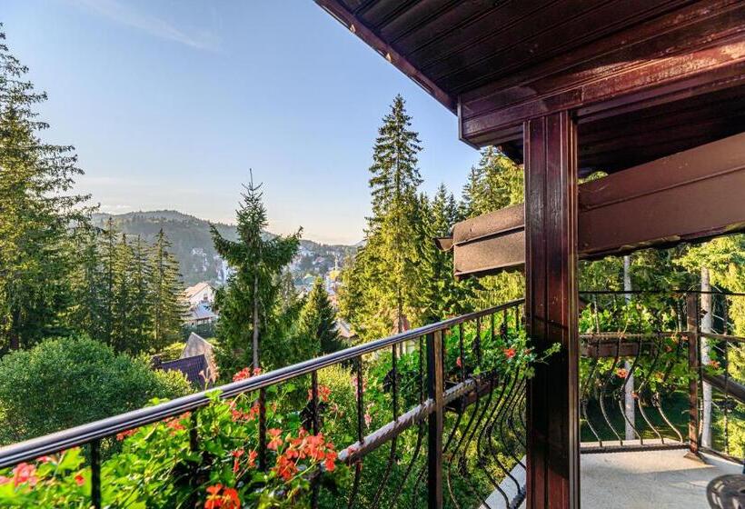 هتل Pensiunea Hilltop