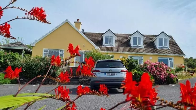 The Plough B&b