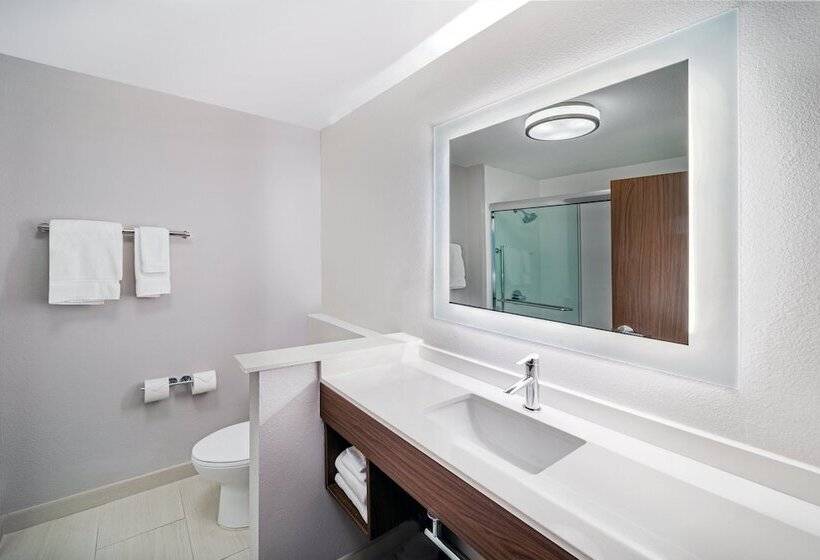 فندق Holiday Inn Express & Suites Houston N Downtown, An Ihg