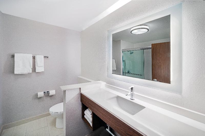 فندق Holiday Inn Express & Suites Houston N Downtown, An Ihg