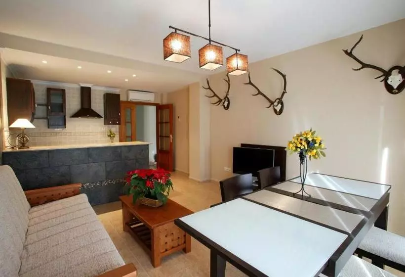 Apartamentos Hotel 77