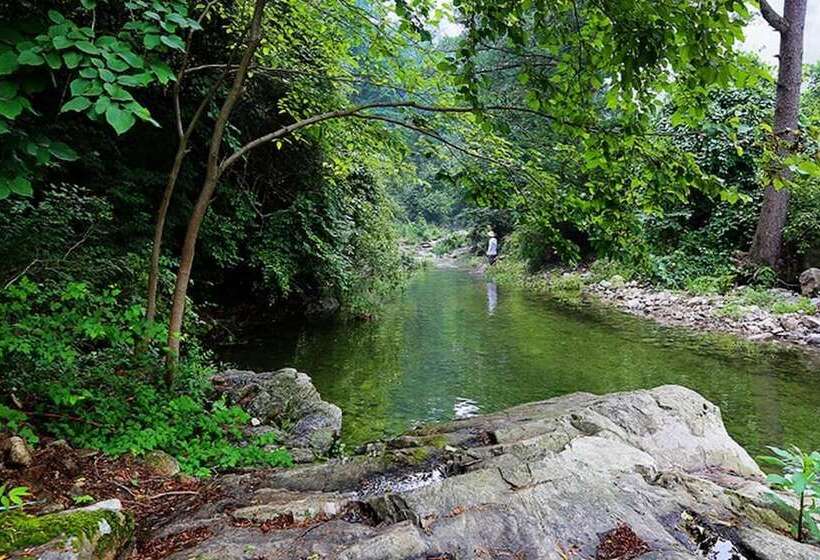 فندق Gapyeong Animal Caravan Pension