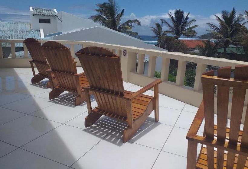 膳宿费 Baia Do Ouro