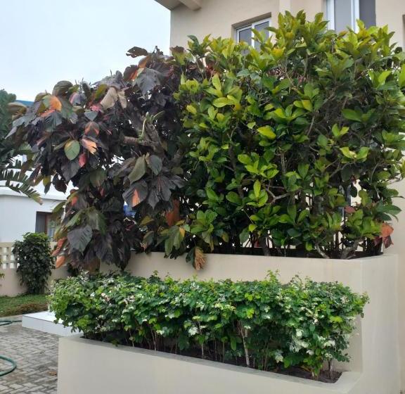 膳宿费 Baia Do Ouro