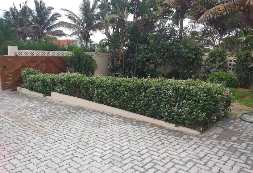 膳宿费 Baia Do Ouro