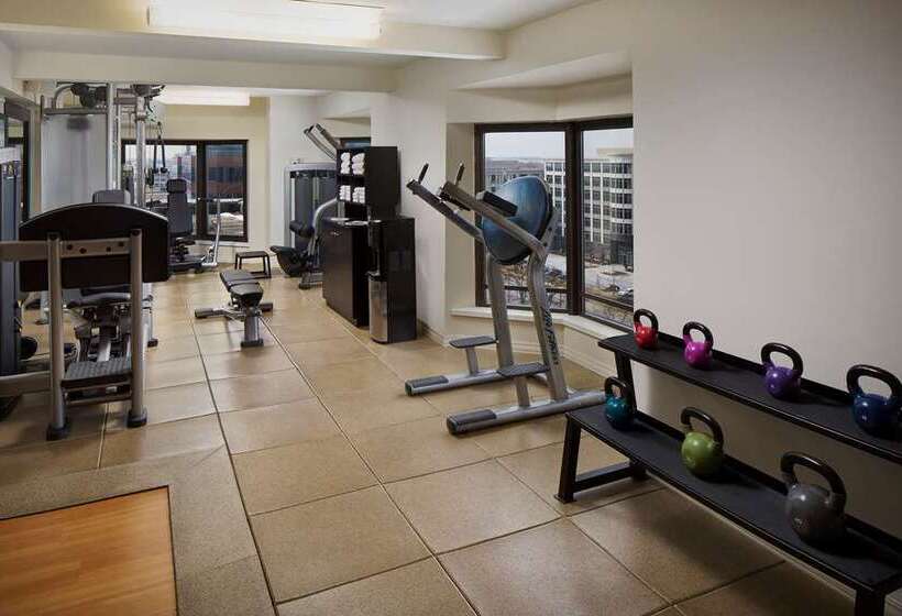 فندق Hilton Rosemont Chicago O'Hare