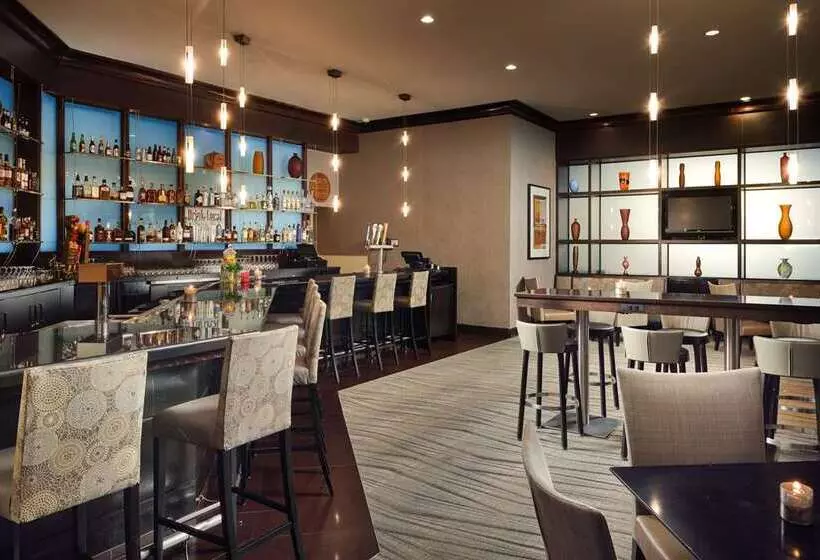 酒店 Hilton Rosemont Chicago O'Hare