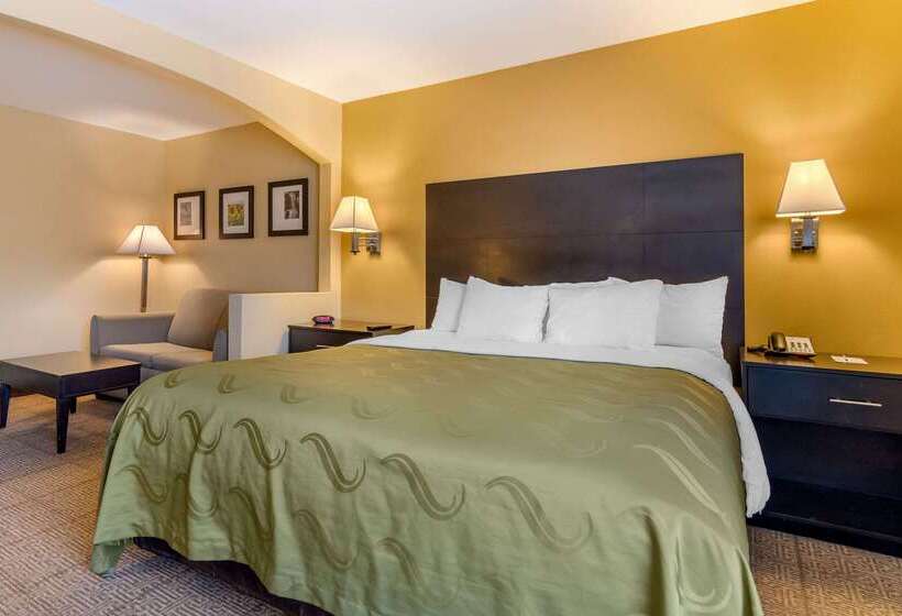 ホテル Quality Inn & Suites Lenexa Kansas City