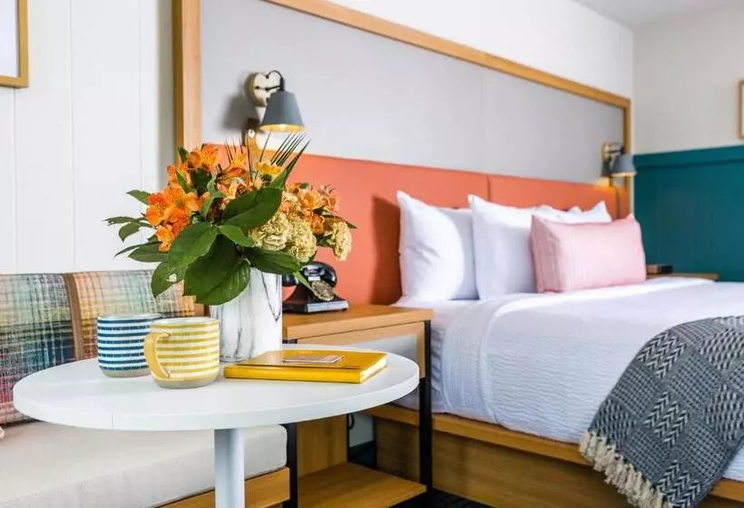 モーテル Freebird By Reverie Boutique Collection