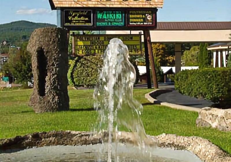 Tiki Resort   Lake George