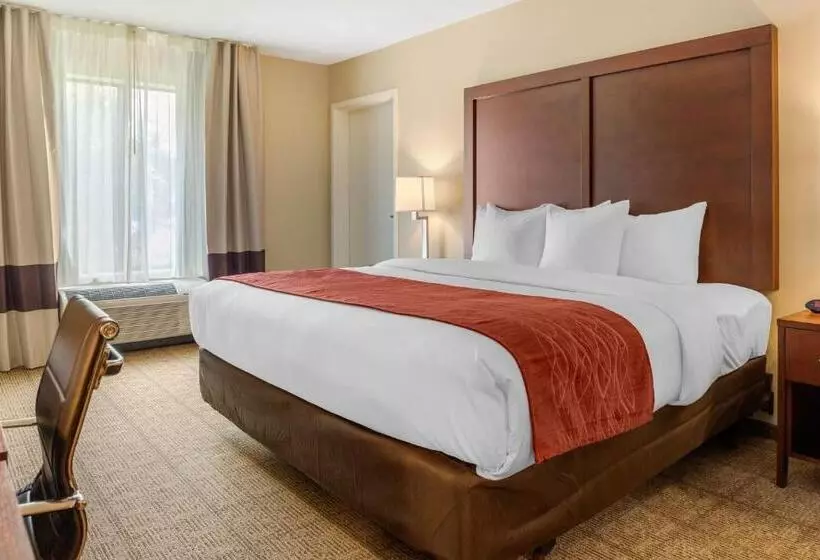 Hotelli Comfort Inn & Suites Amish Country