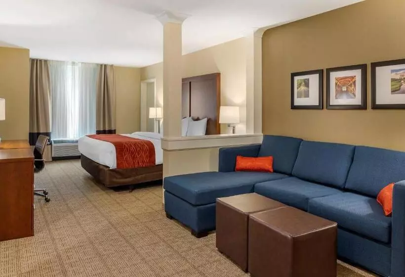 Hotelli Comfort Inn & Suites Amish Country