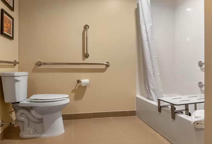 酒店 Comfort Inn & Suites Amish Country