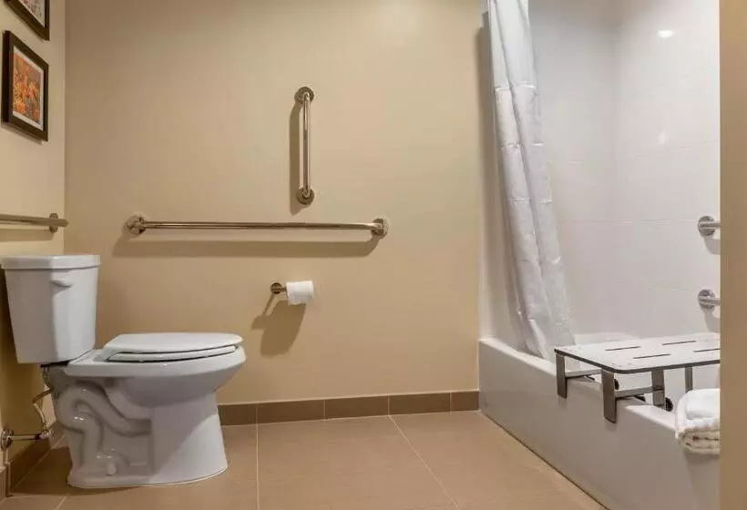 Hotelli Comfort Inn & Suites Amish Country