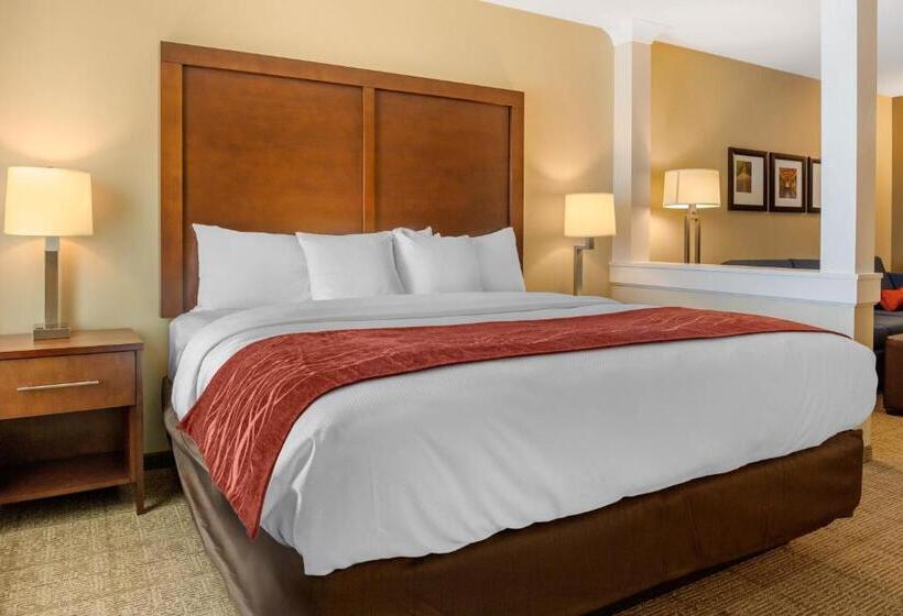 酒店 Comfort Inn & Suites Amish Country