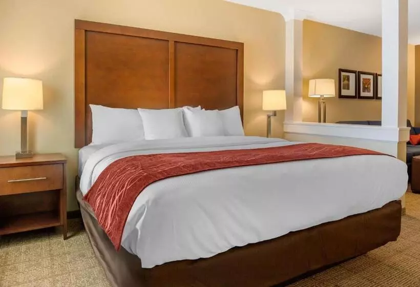 Hotelli Comfort Inn & Suites Amish Country