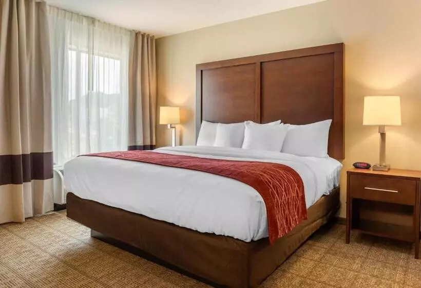 Hotelli Comfort Inn & Suites Amish Country