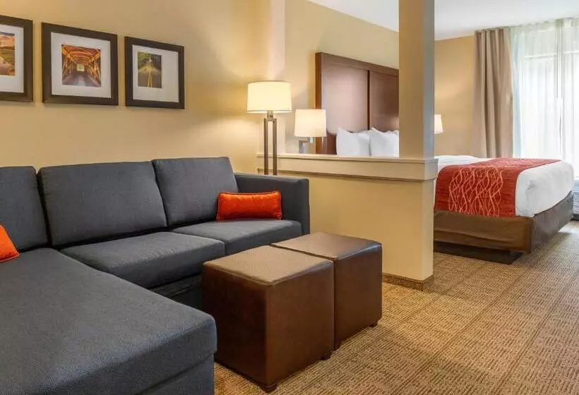 Hotelli Comfort Inn & Suites Amish Country
