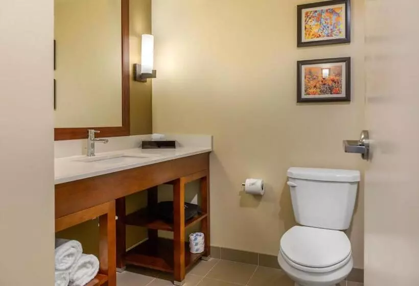 Hotelli Comfort Inn & Suites Amish Country
