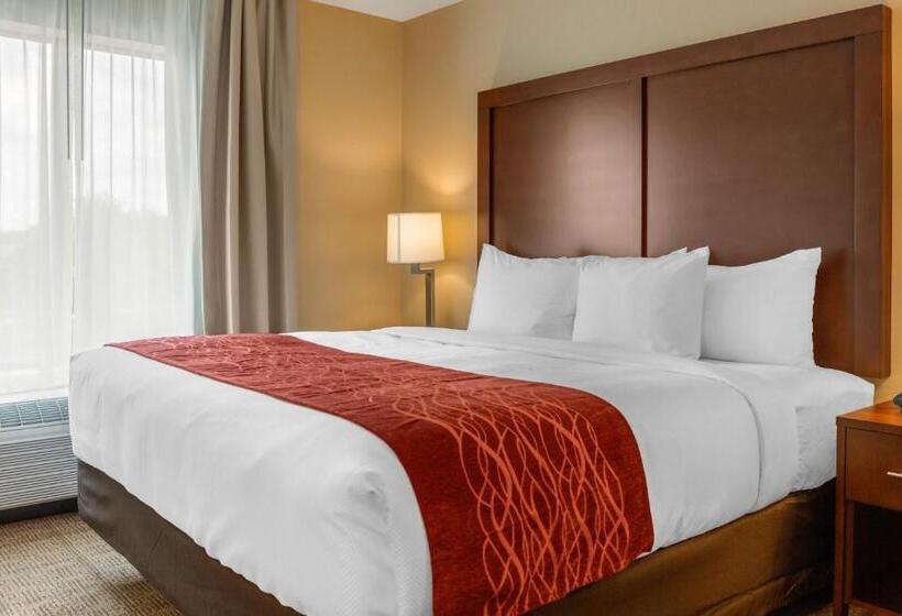 酒店 Comfort Inn & Suites Amish Country