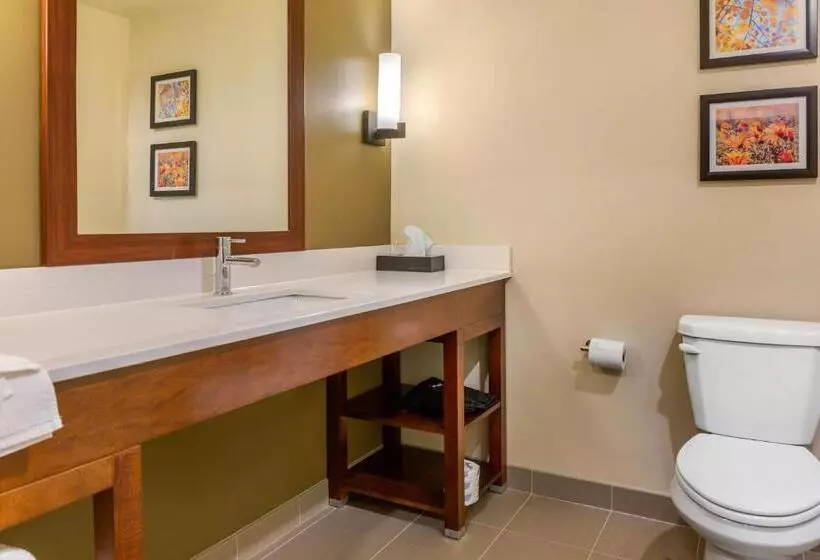 Hotelli Comfort Inn & Suites Amish Country