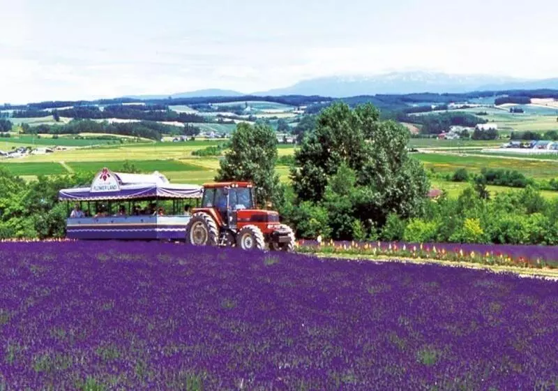 ホテル La Vista Furano Hills Hot Springs