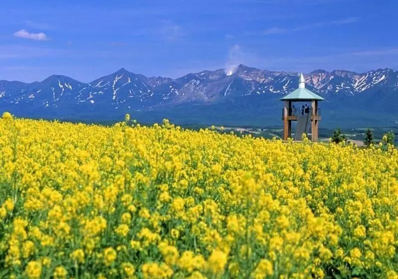 ホテル La Vista Furano Hills Hot Springs