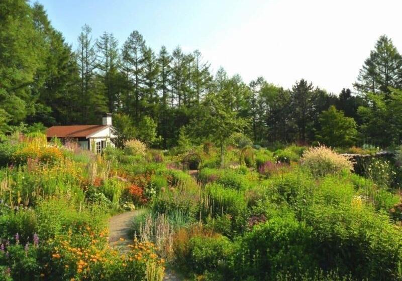 酒店 La Vista Furano Hills Hot Springs