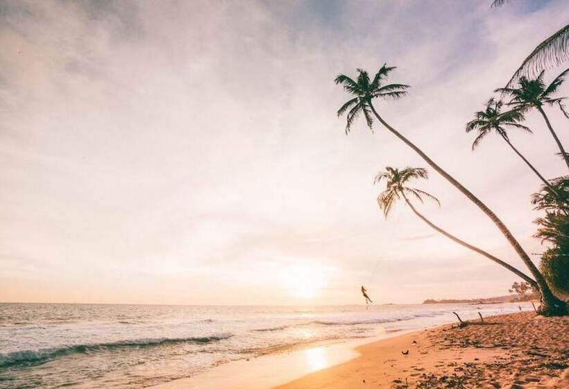 酒店 Sea Cloud Dalawella