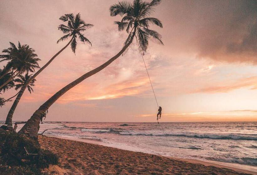 酒店 Sea Cloud Dalawella