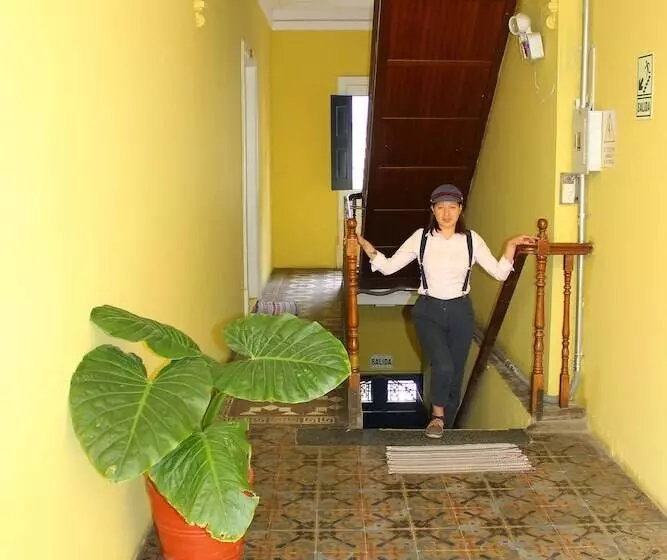 پانسیون Holidays Hostel Arequipa