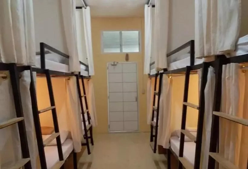 ユースホステル Moho