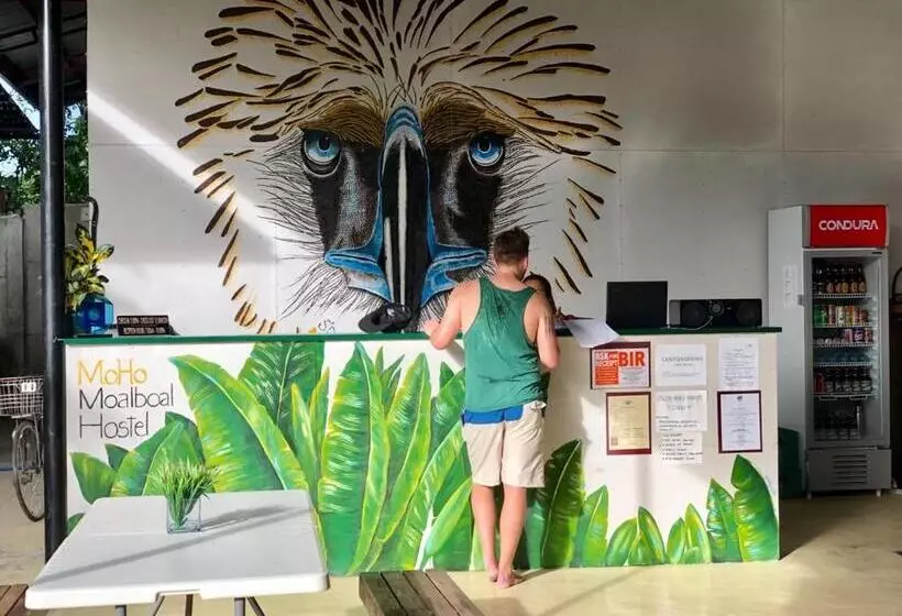 ユースホステル Moho