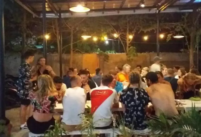 ユースホステル Moho