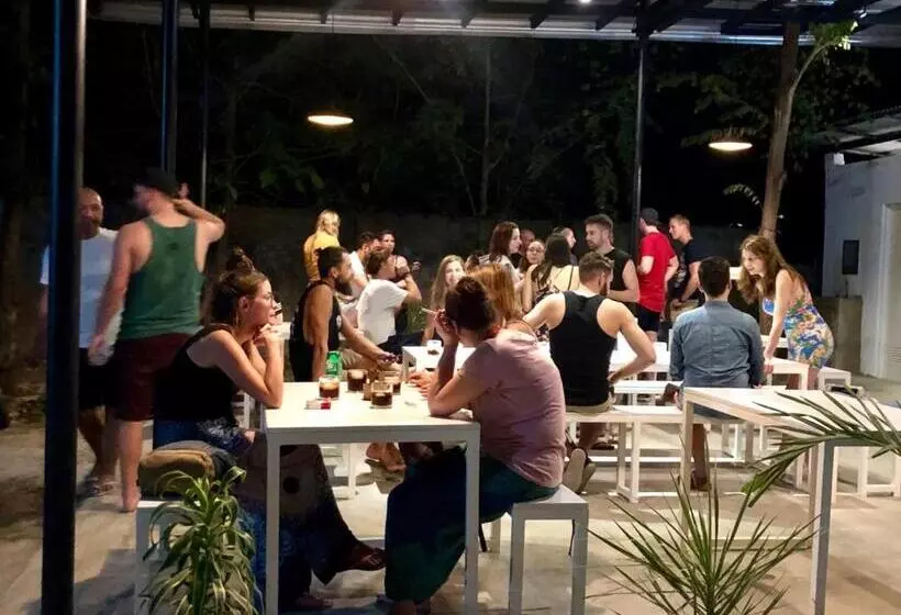 ユースホステル Moho