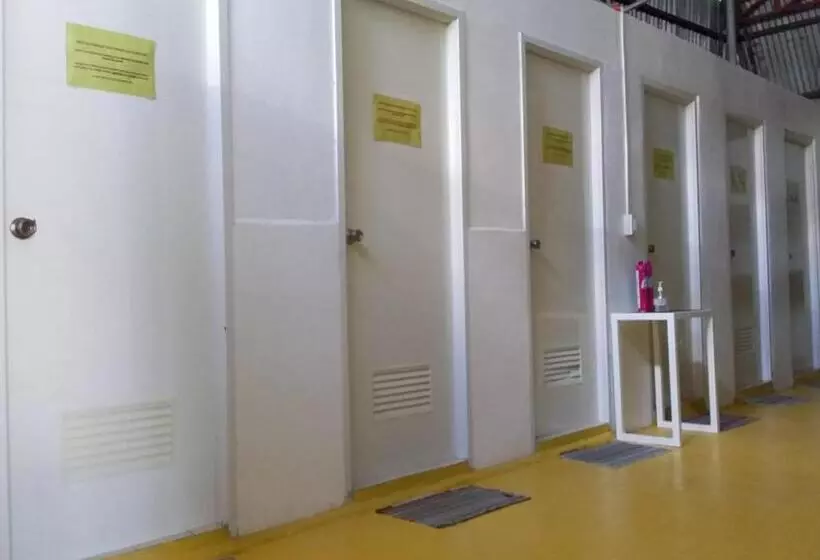 ユースホステル Moho