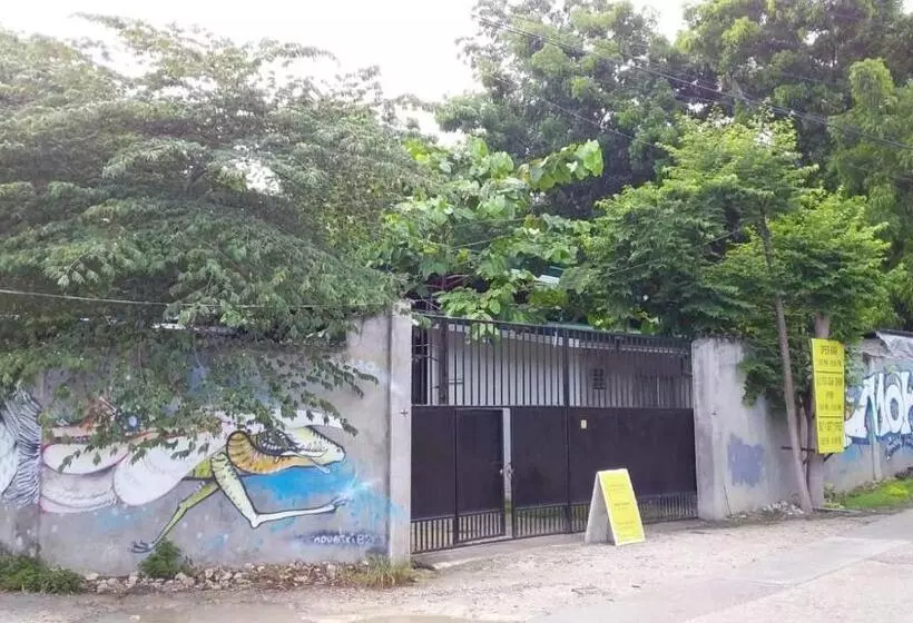 ユースホステル Moho