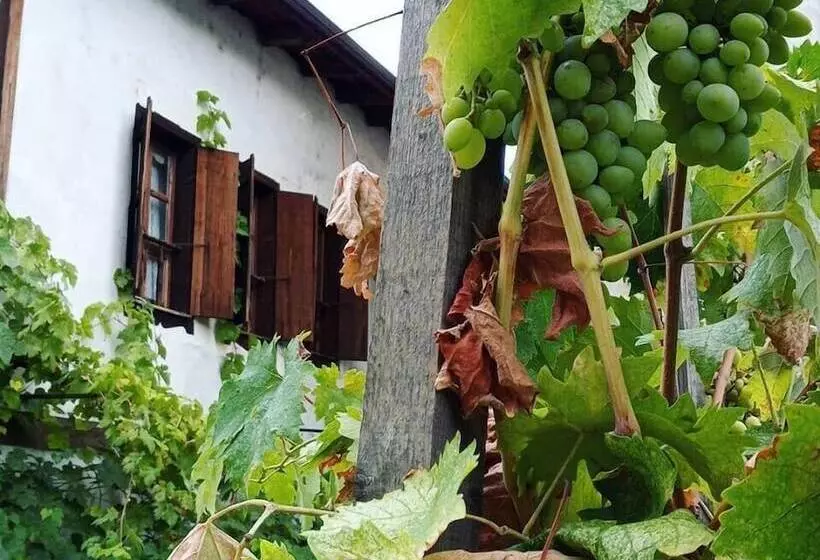 ホテル Boncuk Konak