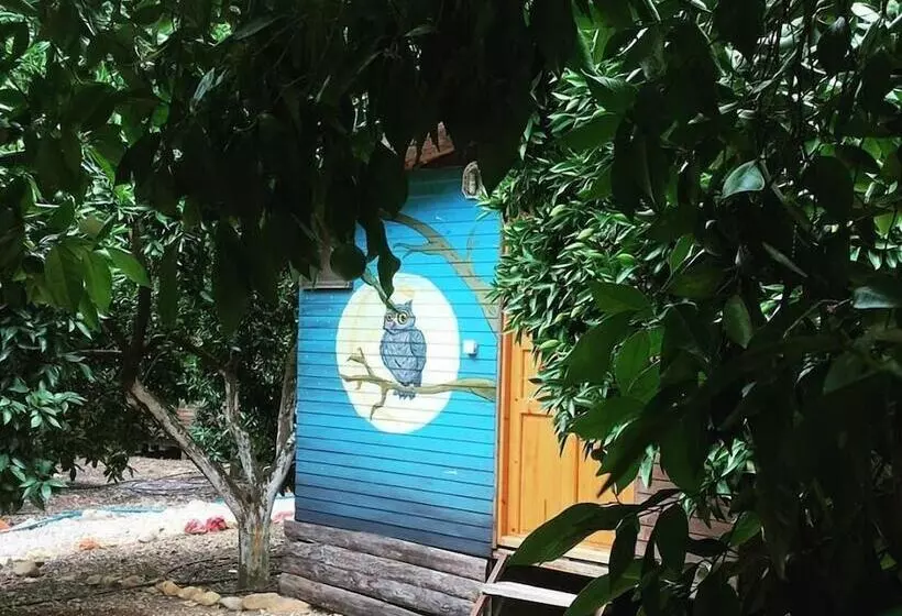 Olympos Alaturka Pansiyon